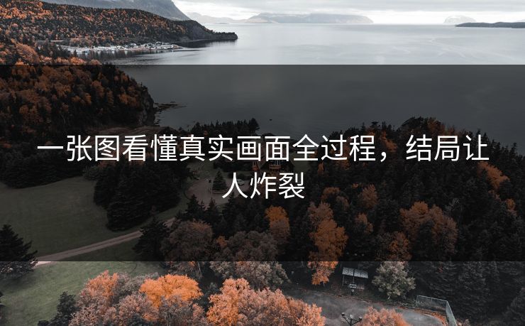 一张图看懂真实画面全过程，结局让人炸裂