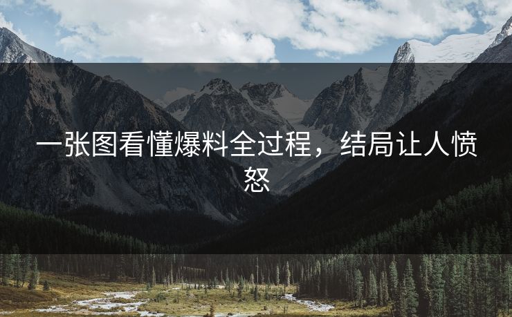 一张图看懂爆料全过程，结局让人愤怒