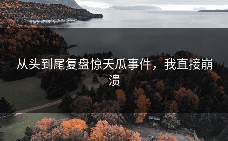 从头到尾复盘惊天瓜事件，我直接崩溃