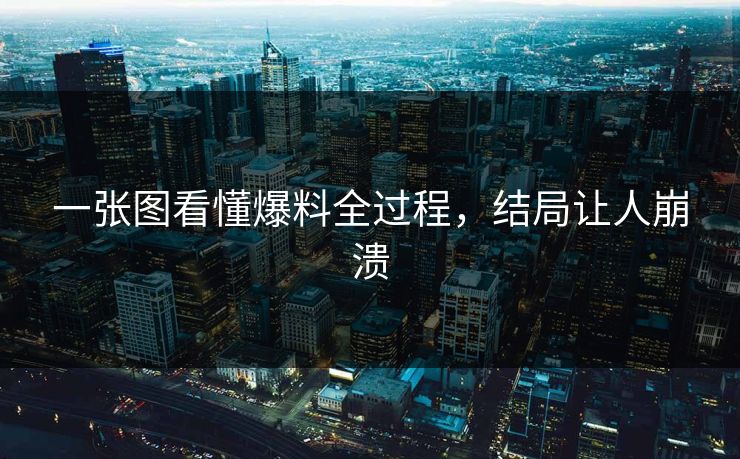 一张图看懂爆料全过程，结局让人崩溃
