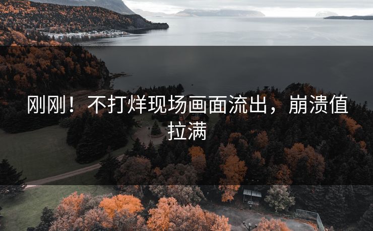 刚刚！不打烊现场画面流出，崩溃值拉满