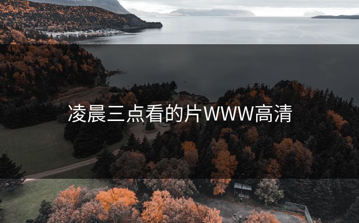 凌晨三点看的片WWW高清