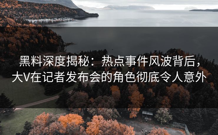 黑料深度揭秘：热点事件风波背后，大V在记者发布会的角色彻底令人意外