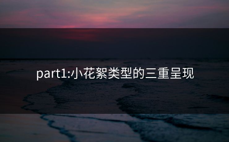 part1:小花絮类型的三重呈现