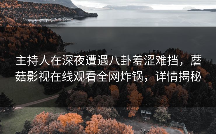 主持人在深夜遭遇八卦羞涩难挡，蘑菇影视在线观看全网炸锅，详情揭秘
