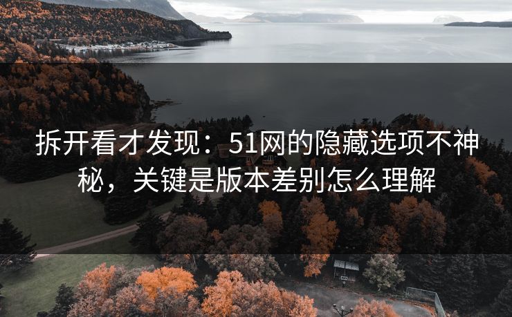 拆开看才发现：51网的隐藏选项不神秘，关键是版本差别怎么理解