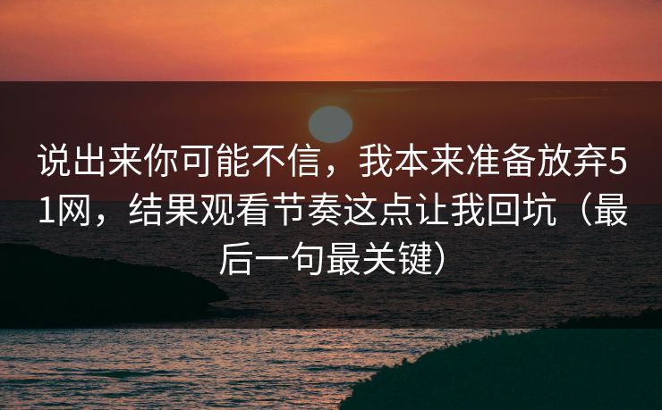 说出来你可能不信，我本来准备放弃51网，结果观看节奏这点让我回坑（最后一句最关键）